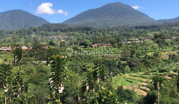 Dijual Tanah Murah View Gunung Dan Bukit di Baturiti Bedugul 2