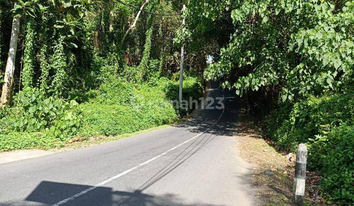 Premium Land for sale on Jalan Utama Pejeng Ubud 1