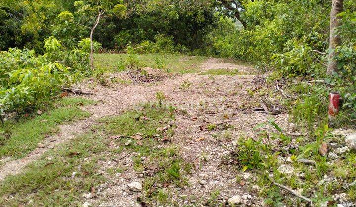 Ocean View Land for Sale in Sakti Village, Nusa Penida 2