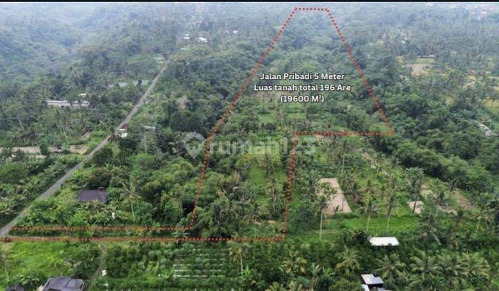 Cheap Land for Sale Located in Tegalalang Ubud 1