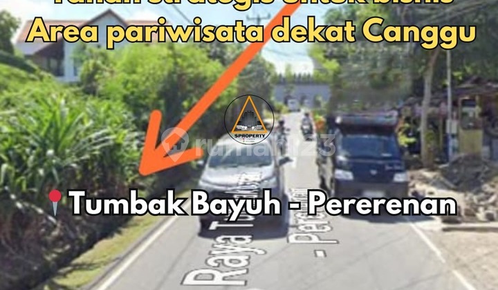Tanah Strategis Lokasi di Jalan Utama Tumbak Bayuh Pererenan