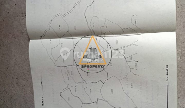 For Sale Quick Durian Orchard Land Ready for Harvest Location in Tabanan For Sale Quick Durian Orchard Land Ready for Harvest Location in Tabanan
