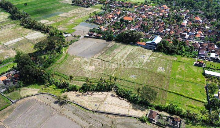 Dijual Tanah Kavling Murah di Kaba Kaba Tabanan 2