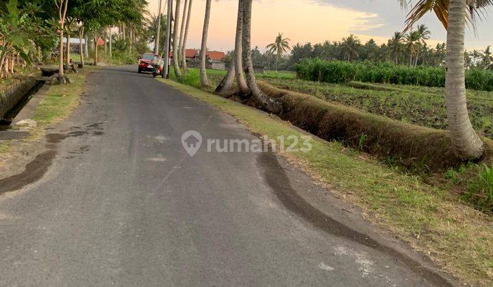 Land For Rent Jungle View In Kemenuh Ubud 2