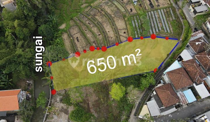 Land View of Rice Fields and River, Near Munggu Beach