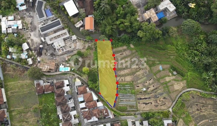 Land View of Rice Fields and River, Near Munggu Beach