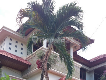 3-Storey Fully Furnished House in West Denpasar 1
