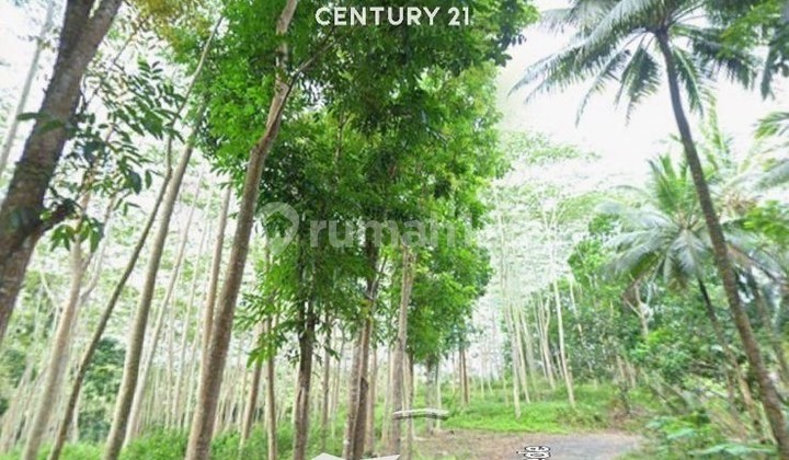 Land with a Strategic Location in Cimerak Pangandaran Land with a Strategic Location in Cimerak Pangandaran