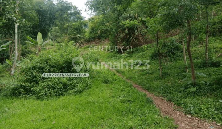 Tanah Siap Bangun Strategis di Jatisari Kutawaringin Bandung