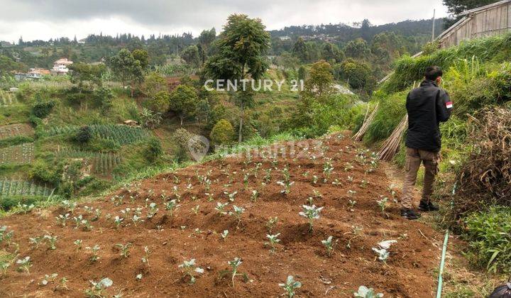 Tanah Bentuk Persegi Hadap Timur Di Cikahuripan Lembang Bandung 2