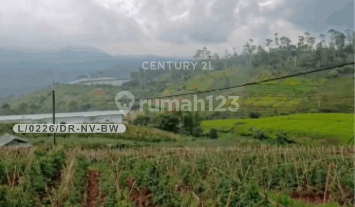 Wide Land for Business Ready to Build in Ciwidey Bandung