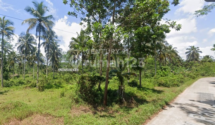 Land with a Strategic Location in Cimerak Pangandaran Land with a Strategic Location in Cimerak Pangandaran
