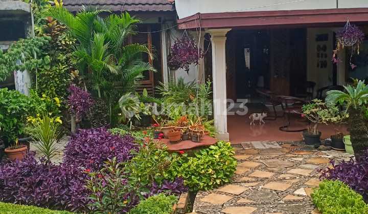 Dijual Rumah Mampang Prapatan, Jakarta Selatan Dijual Rumah Mampang Prapatan, Jakarta Selatan