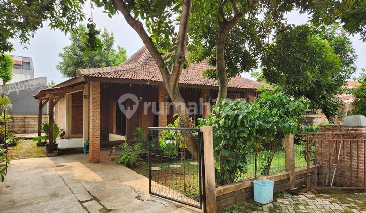 Rumah Murah Palem Puri Bintaro Luas Siap Huni Dengan Hunian Nyaman Dan Asri Di @ciputat