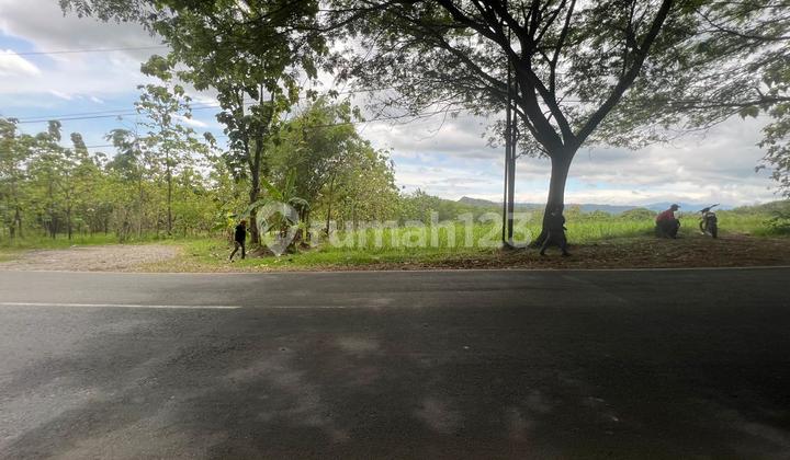 Cheap land Industrial Zone roadside Kuningan West Java