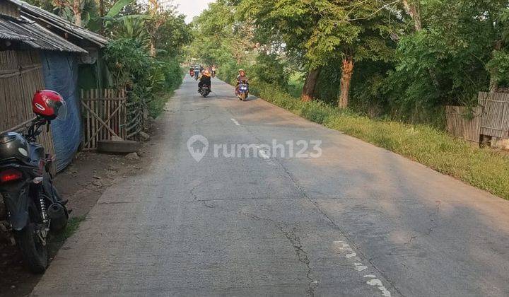 Tanah Murah Zona Perumahan di Kabupaten Bekasi Cabang Bungin  2