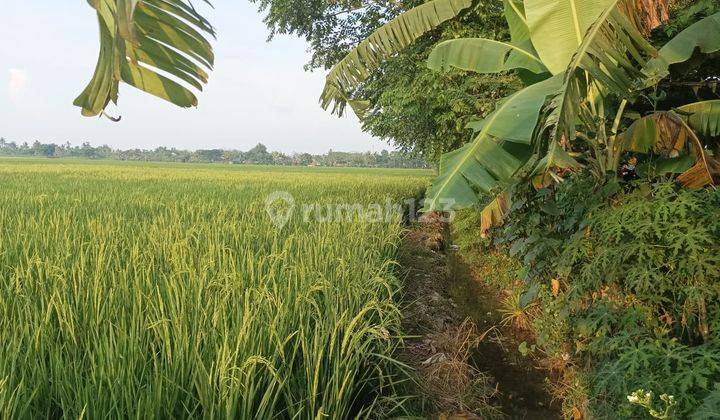 Tanah Murah Zona Perumahan di Kabupaten Bekasi Cabang Bungin  1