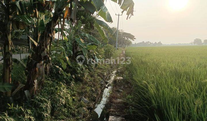 Tanah Murah Zona Perumahan di Kabupaten Bekasi Cabang Bungin  2