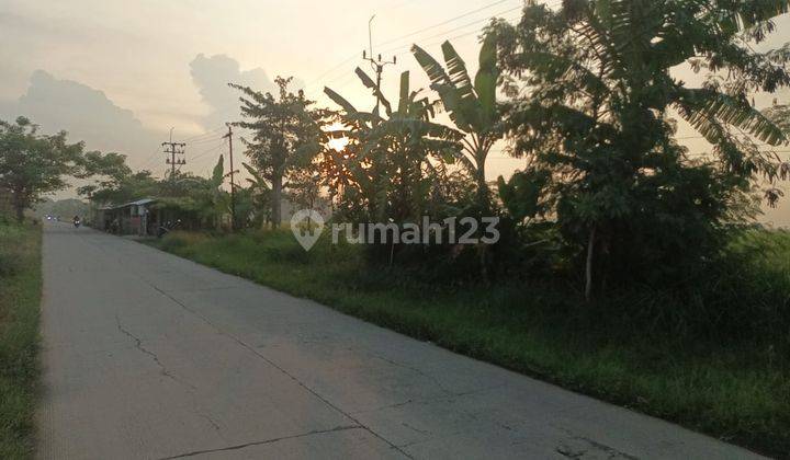 Tanah Murah 400 Ha Zona Industri Kabupaten Bekasi Cabang Bungin 2