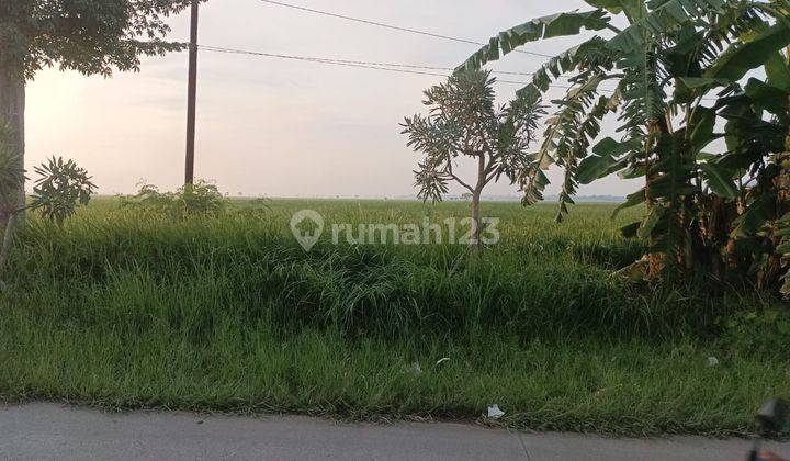 Tanah Murah 400 Ha Zona Industri Kabupaten Bekasi Cabang Bungin 1