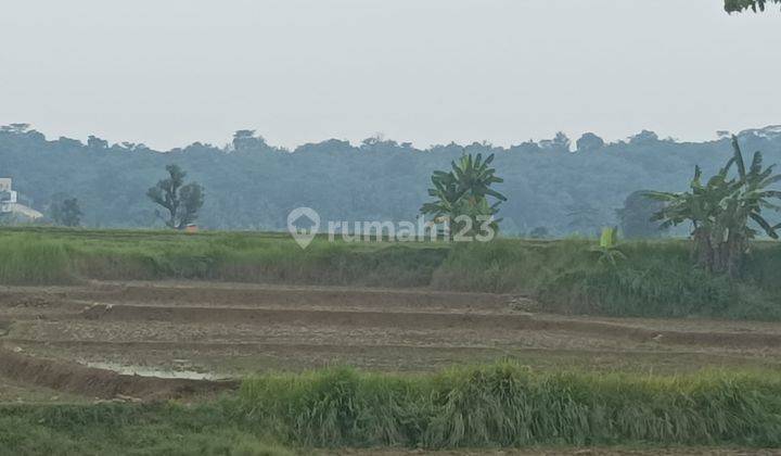 Tanah Murah Pinggir Jalan Raya Untuk Perumahan di Cariu Bogor 1