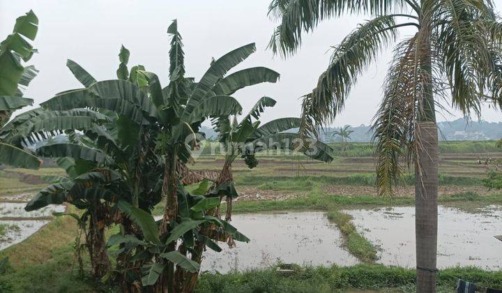 Tanah Murah Pinggir Jalan Raya Untuk Perumahan di Cariu Bogor 2