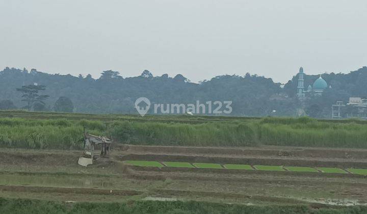 Tanah Murah Pinggir Jalan Raya Untuk Perumahan di Cariu Bogor 2