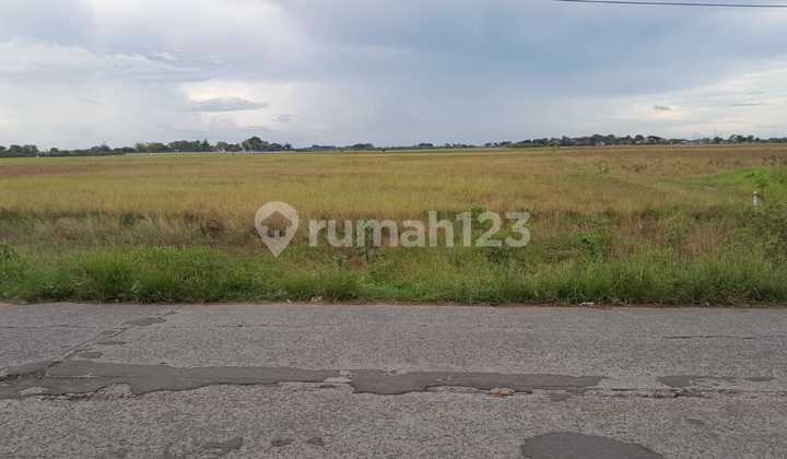 Lahan 30 hektar zona industri di kab Bekasi Sukaringin