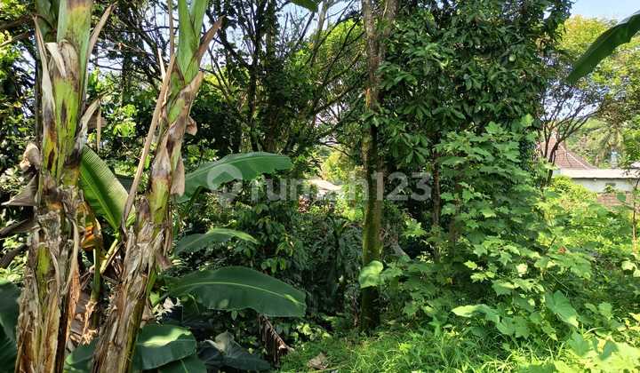 Lahan murah Megamendung 7 menit dari jalan raya Puncak Bogor