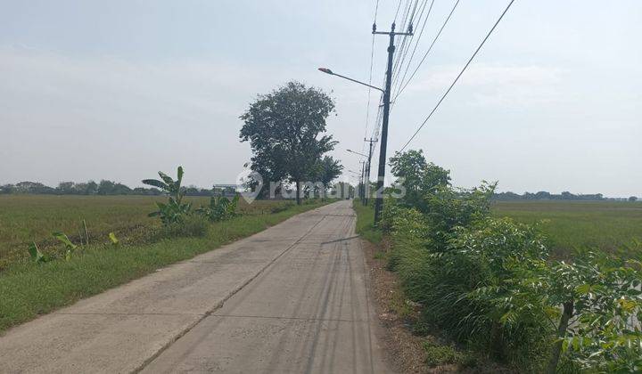 Tanah 100 ha Zona Industri di Cabang bungin kab Bekasi 1