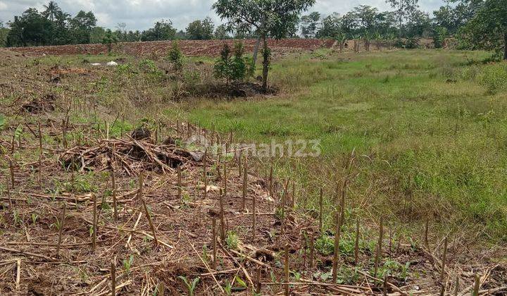 TANAH LUAS COCOK UNTUK CLUSTER ATAU PERTANIAN 6