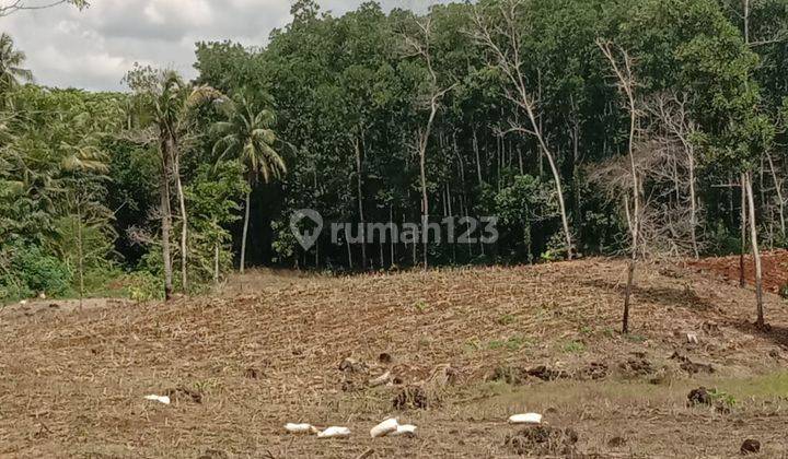 TANAH LUAS COCOK UNTUK CLUSTER ATAU PERTANIAN 10