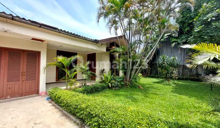 Rumah Asri Hadap Timur Dengan Halaman Luas Dan Kolam Renang Besar Rumah Dijual di Kemang 