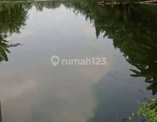 Jual Tanah Lahan Di Jalan Raya Iwul Mad Nur Parung Bogor Ciseeng 2