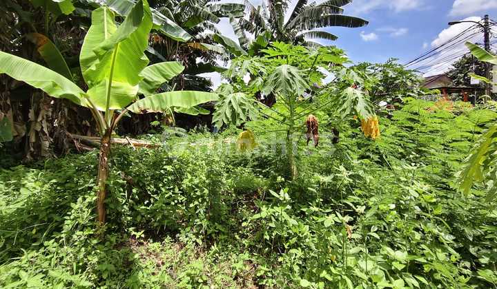 Dijual Kavling Akasia Taman Royal 3 Luas 1150 M Shgb