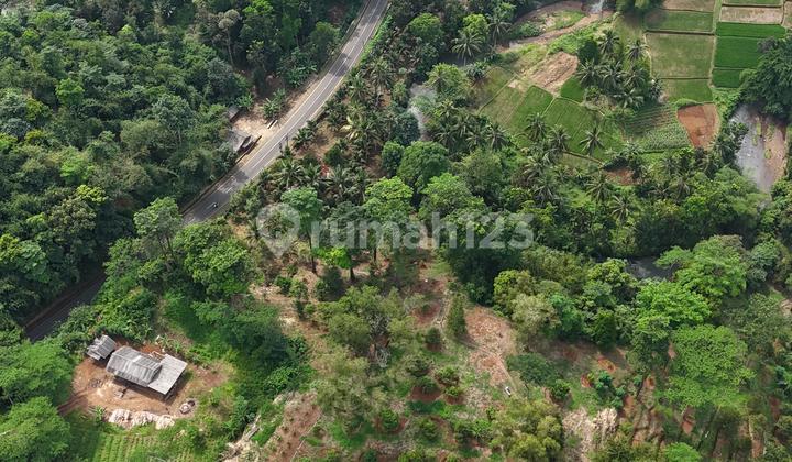 HOT PROPERTY   FOR SALE KAVLING COCOK UNTUK TEMPAT WISATA / HOTEL / PERKEBUNAN 1