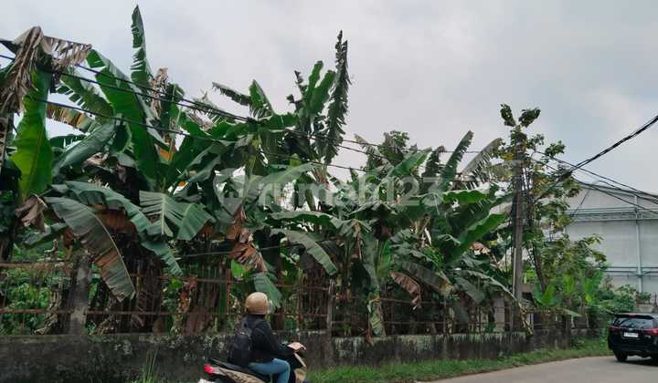 Tanah Dijual Curug Tangerang 