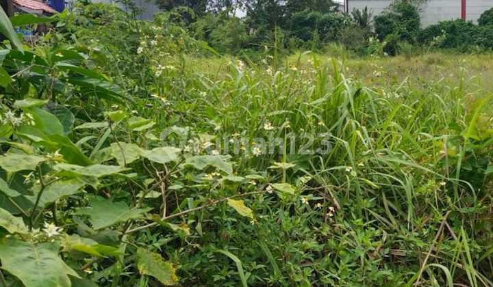 Dijual kavling curugTangerang  Luas Tanah : 4.000 m²