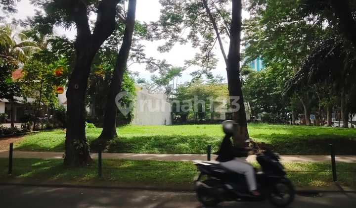 Disewakan Kavling Komersial Alam Sutera. Deket Ikan Bakar Cianjur & Kopi Nako. Seberang Flavor Bliss