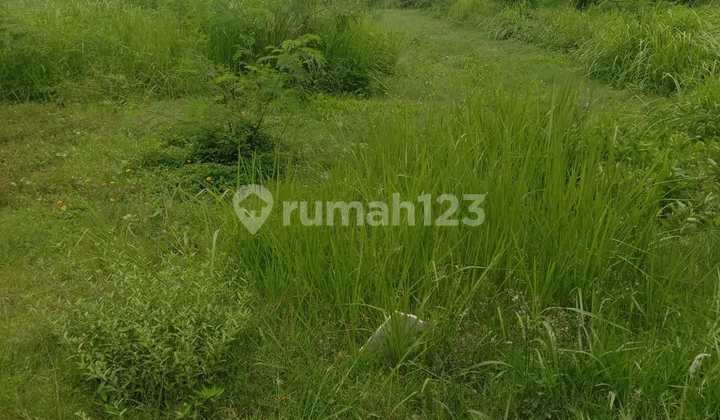 Tanah pinggir jalan raya 2860 m2 Ciputat, Tangerang Selatan