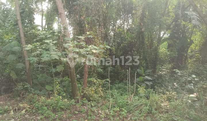 Disewa lahan di Curug Tangerang lokasi sangat ramai dan strategis 