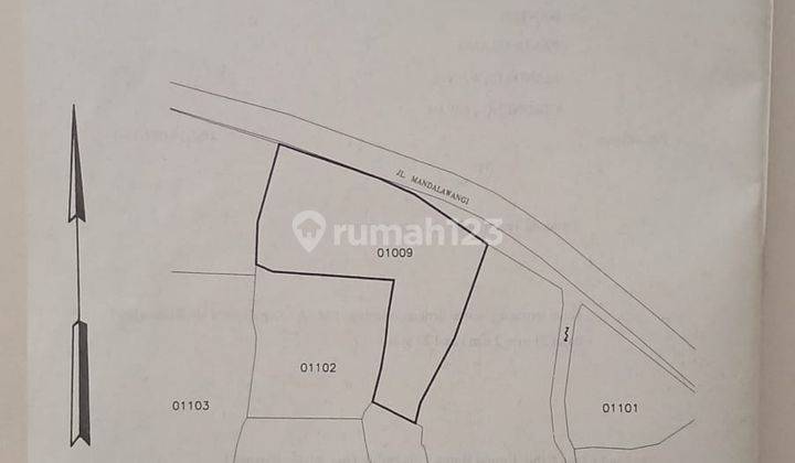 Jual Tanah Pinggir Jalan Desa Cikoneng Mandalawangi, Pandeglang 1