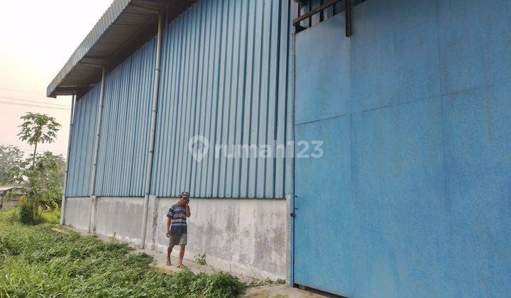 lahan + Gudang Bagus 3000 m2 Jawilan cikande, Serang 1