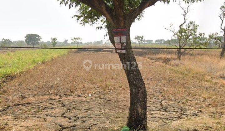 TANAH WEDORO ANOM, MENGANTI - GRESIK LOKASI NOL JALAN 1