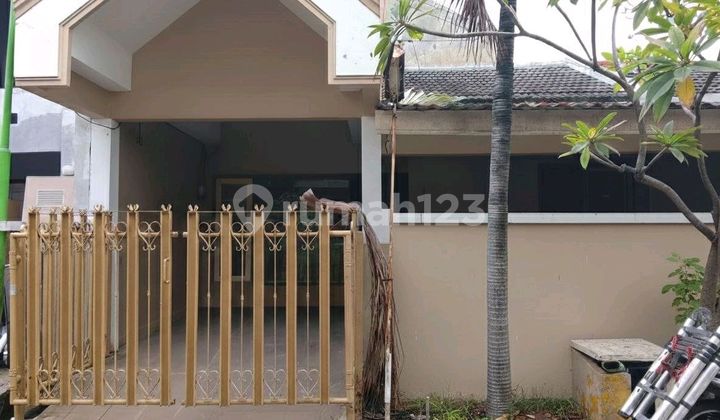 Rumah Jarang Ada Mulyosari Lt84, Dkt Sutorejo, Wisma Permai, Dharmahusada Mas, Pakuwon City
