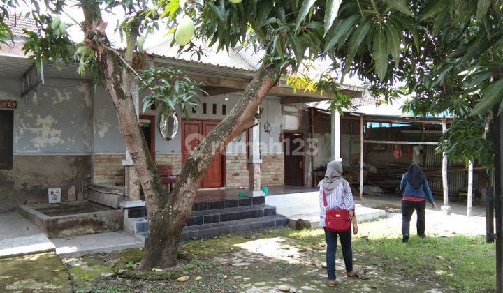 RUMAH DI GROGOL HITUNG TANAH 2