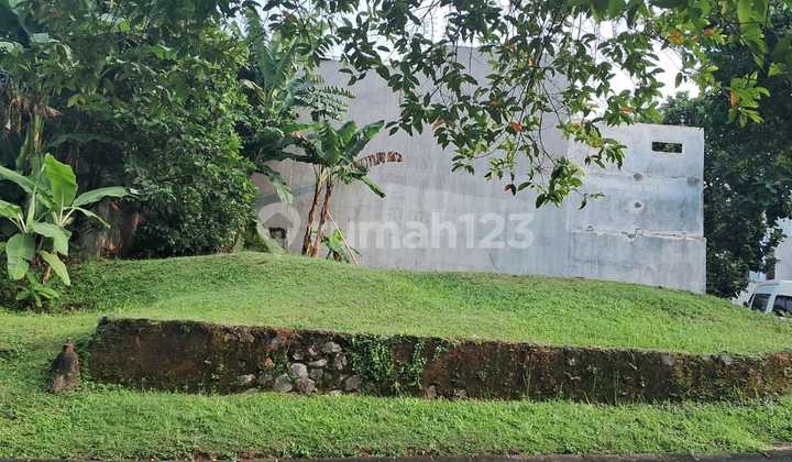 Hook Plot in Citra Grand Premium Cluster