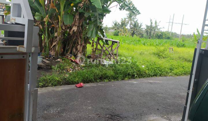 Rumah Ready Unit di Tojan, Pering, Gianyar Dekat Ubud 10