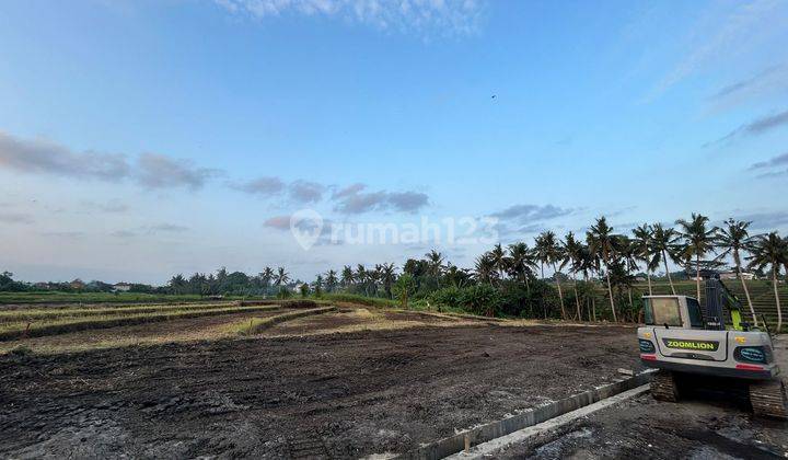 Tanah Kavling Untuk Investasi View Sawah di Yeh Gangga, Tabanan 1