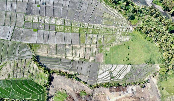 Tanah Kavling Ekslusive Harga Ekonomis View Sawah di Jalan Pantai Yeh Gangga Gubug, Tabanan 2